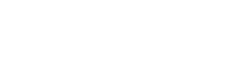 Femix